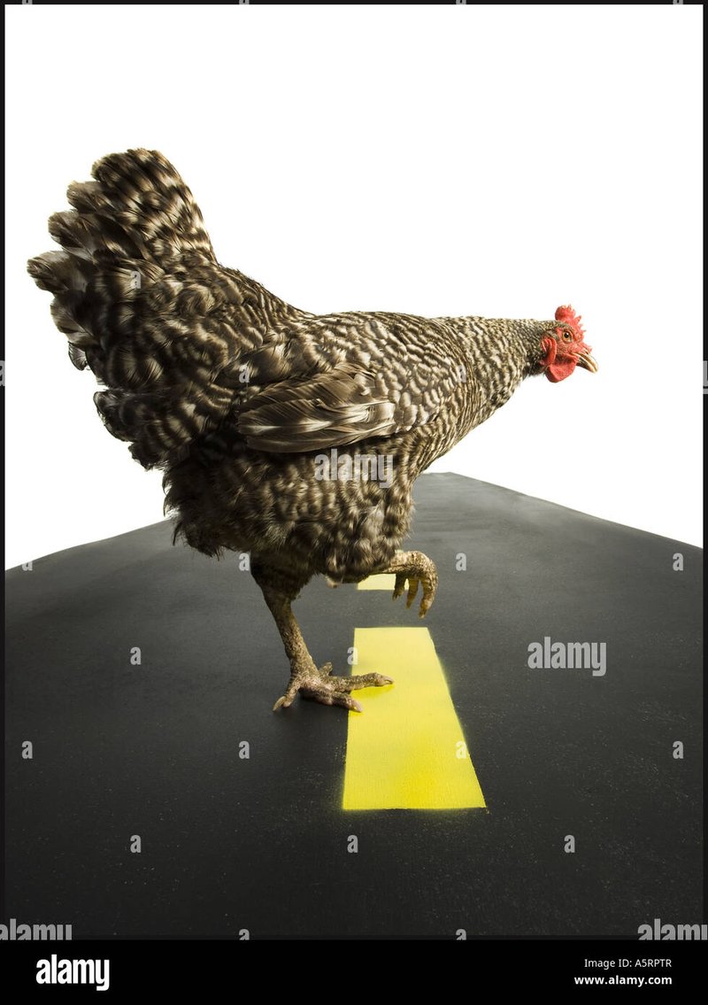 Spain - juego chicken road